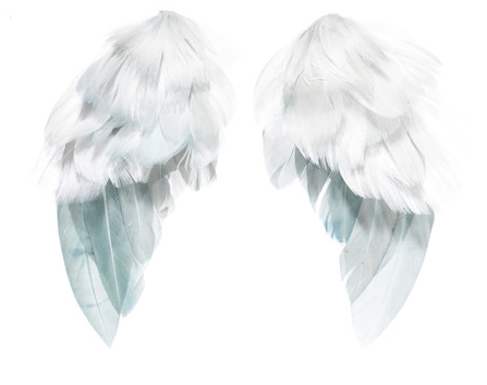 Крылья ангелов из перьев 